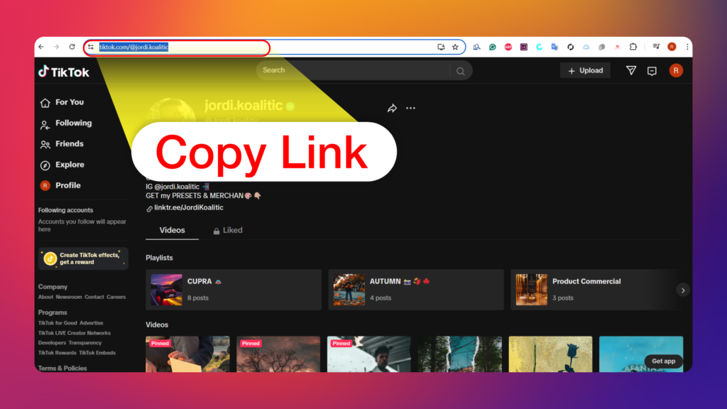 TikTok Profile Picture Viewer and Downloader